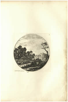 Vol.%20Z%20132%2C%20tav.%209